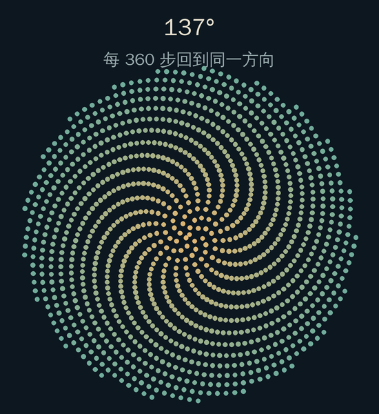 137度:1200个点排出弯曲的螺旋纹路,每360步回到同一方向。